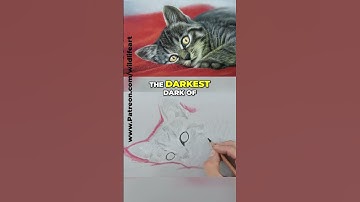 Mastering Tonal Value: Key to Realistic Drawings!