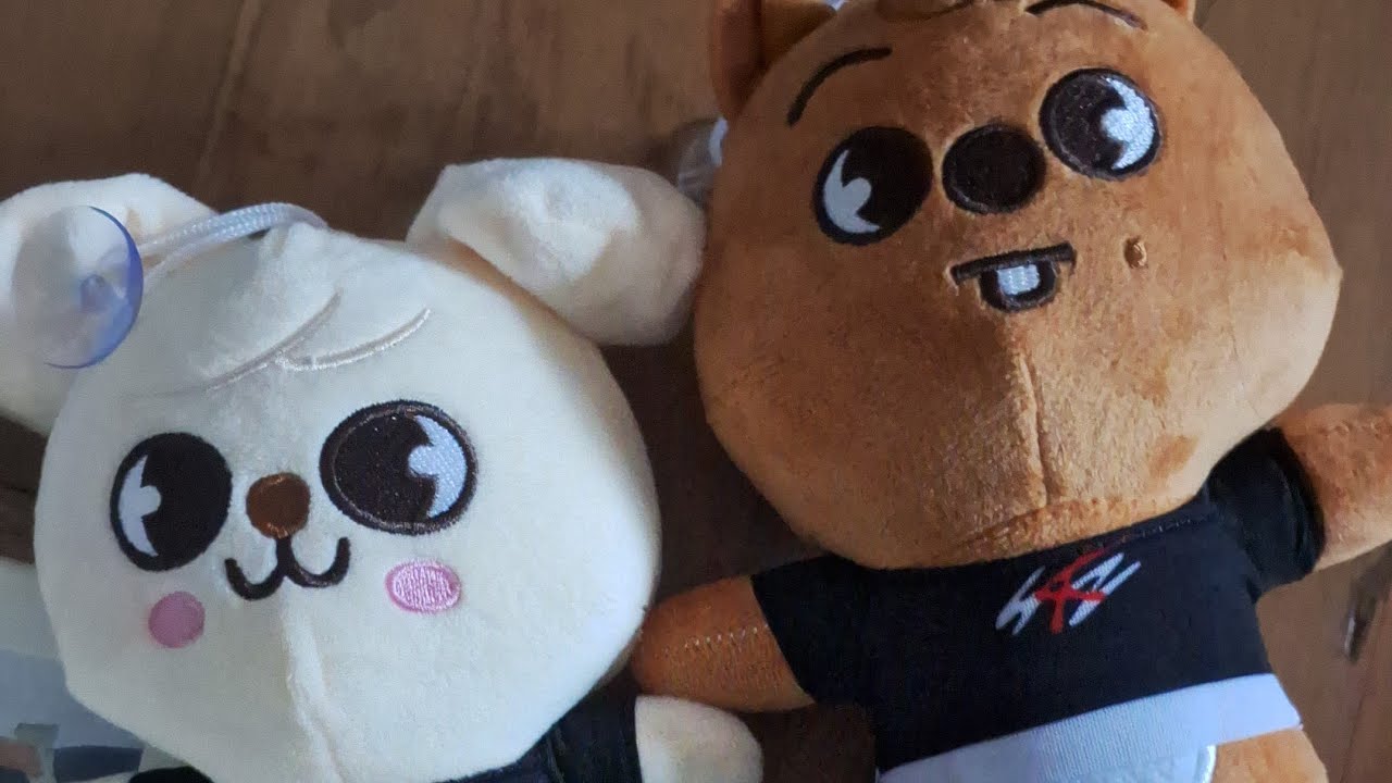 TUDO QUE EU COMPREI DO STRAY KIDS LÁ NA LIBERDADE!!!👀💯