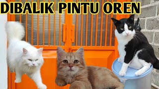 Di Balik Pintu Oren