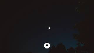 (FREE) Travis Scott Type Beat - Operator