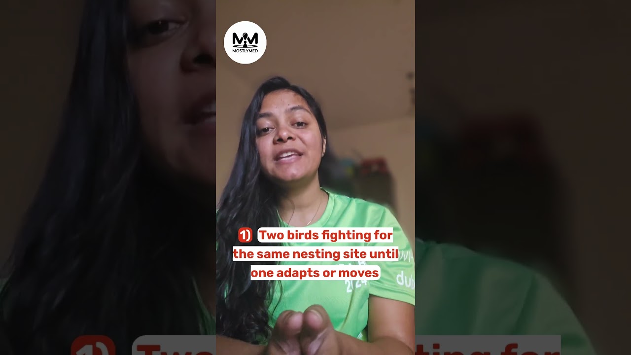 [385] B4.2 [QUIZ] Competitive Exclusion Principle by @DrRavinaIN #mostlymed #bio #shorts #ibdp #2025