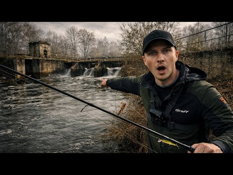 An abandoned weir brings completely unexpected fish!