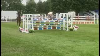 Ad ref 285536 Video 1