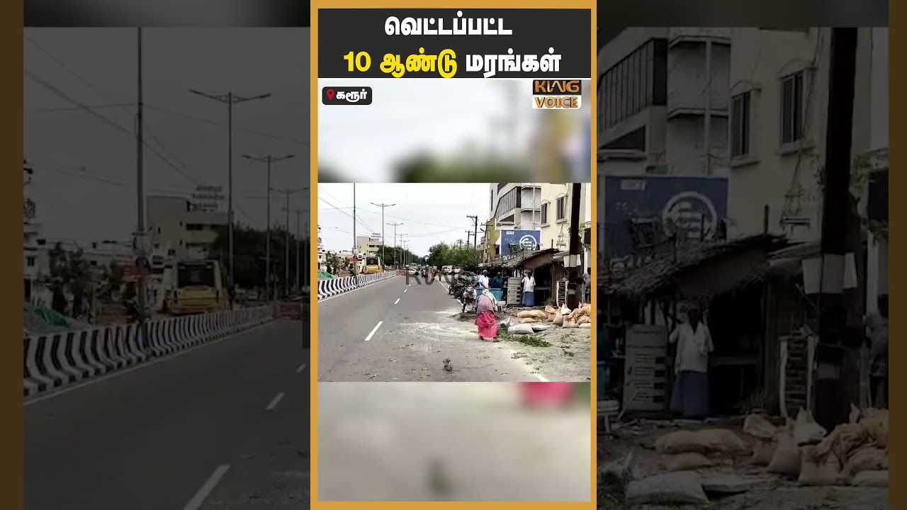 “முதல்வர் வருகைக்காக வெட்டப்பட்ட😨10 ஆண்டு மரங்கள்💔 | Cm vijay | karur