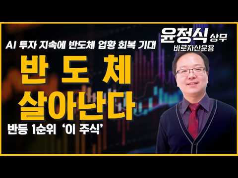코스피 반등 이끌 반도체 탑픽은 '이 종목' #반도체 #금리 #삼성전자 #SK하이닉스 #AI #실적 #ADR #빅테크 #투자전략 #윤정식
