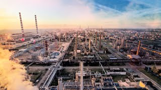 Elon Musk predicts a population implosion