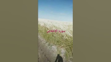 سورة الإخلاص فضيلة الشيخ عبدالباسط عبدالصمد