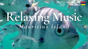 1 HOUR of Beautiful Relaxing Music | Tropical Fishes, Blue Lagoon | Mauritius Island | Tchaikovsky