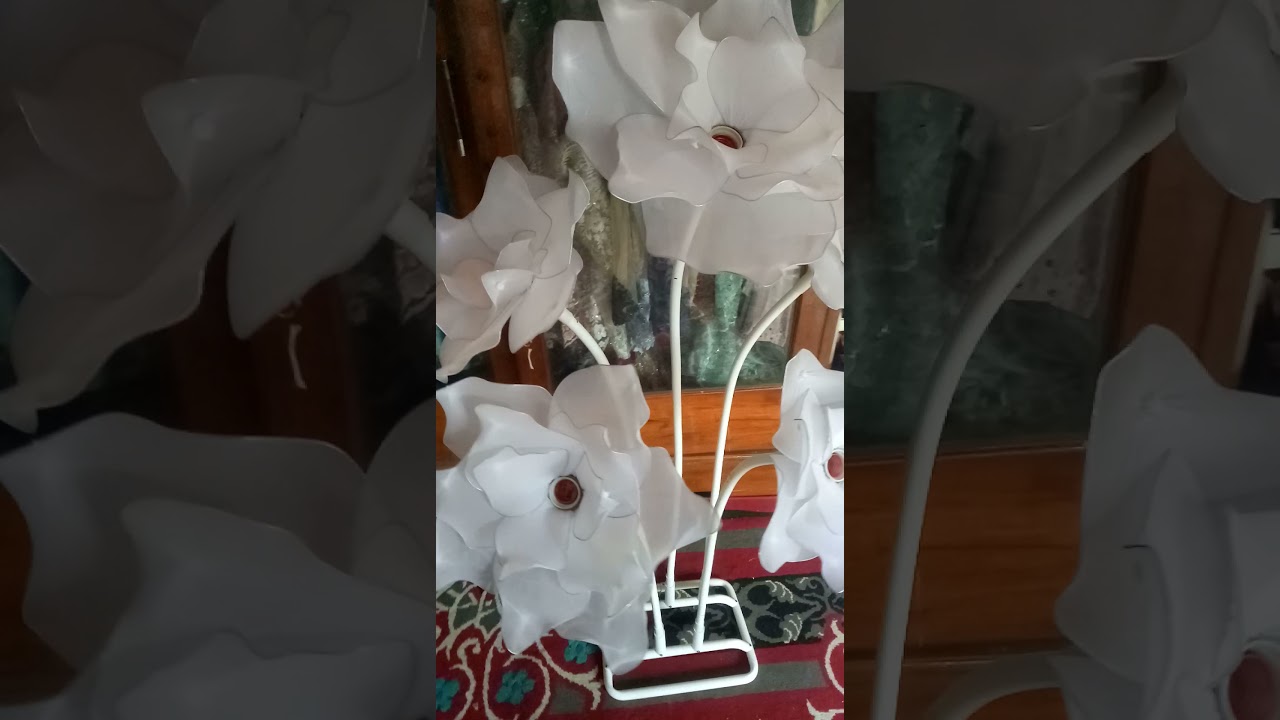 Standing pipa elastis