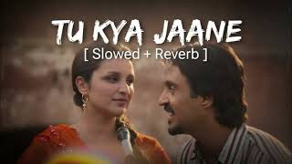 Tu Kya Jaane Slowed Reverb Amar Singh Chamkila Yashika Ka Ar Rahman