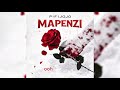 Pipi Jojo Mapenzi Official Lyric Audio