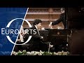 Sergei Babayan: Prokofiev – Piano Concerto No. 5 Opus 55 (Mariinsky Orchestra, Valery Gergiev)