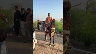 Hammad pet house #hammadpethouse #vlogger #comedy #shikari