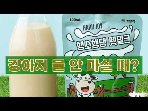 강아지 음수량 걱정 끝! 펫생각 행소행댕 멸균 우유 꿀템 추천