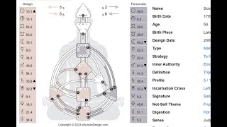 Understanding the Human Design Chart