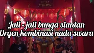 JALI - JALI BUNGA SIANTAN || ORGEN TUNGGAL KOMBINASI NADA SWARA