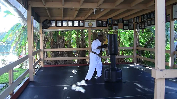Kaido-Kan Martial Arts by Shihan Robin Daley.