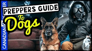 A Preppers Guide to Dogs for Survival and Prepping