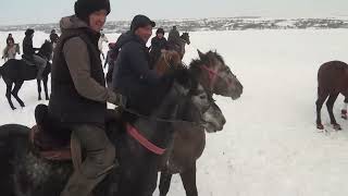 Молыбай Оразалиев ауылы Қуаныш мырзаның елден бата алу көкпары 25.02.2024 #көкпар