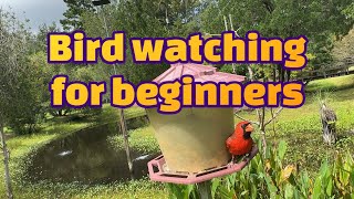Birds are cool. Peaceful bird watching
