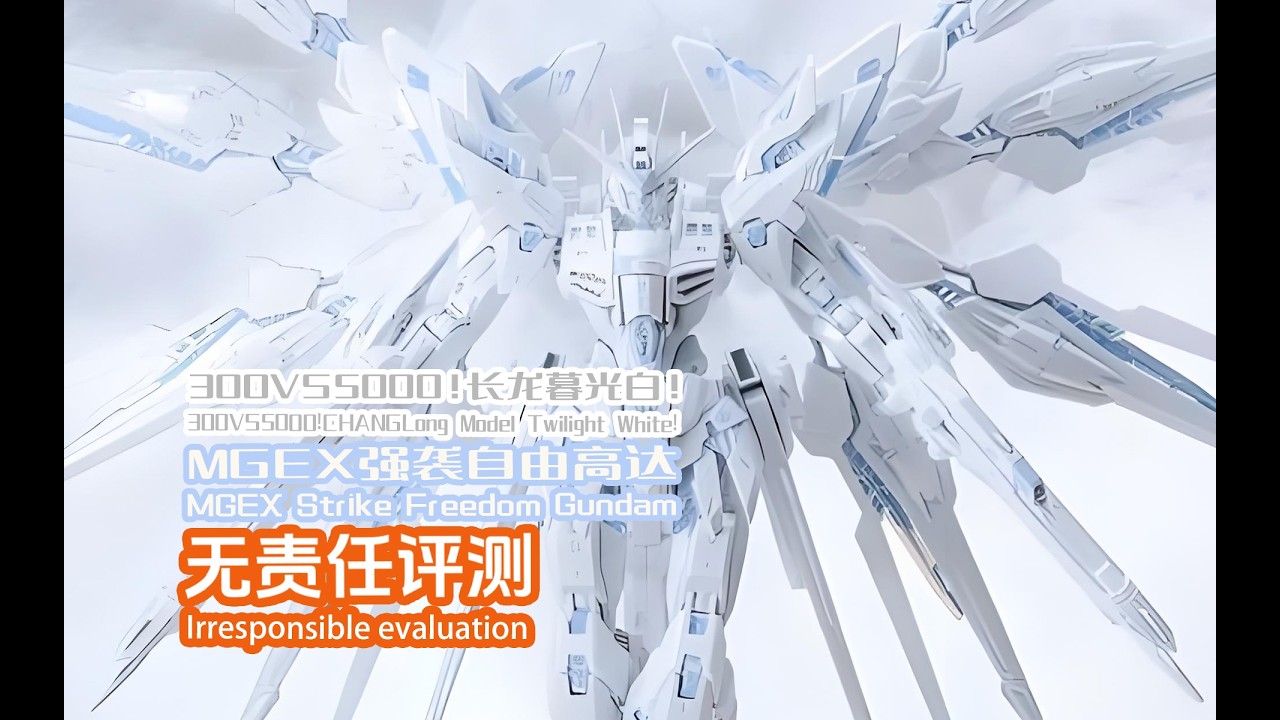 300VS5000!CHANGLong Model Twilight White!MGEX Strike Freedom