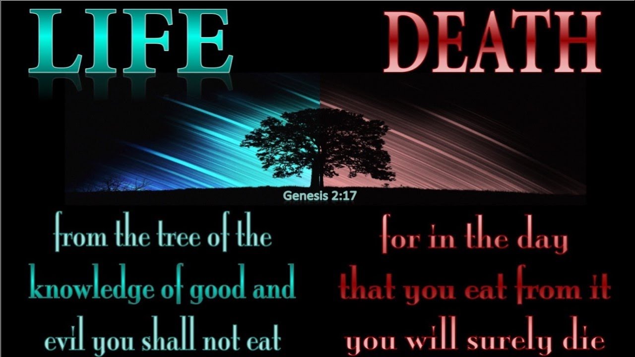 If the body of Christ are pre existing beings, much begins to makes sense