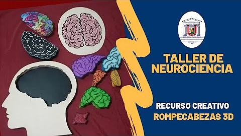 ¿Qué parte del cerebro utilizan los rompecabezas?