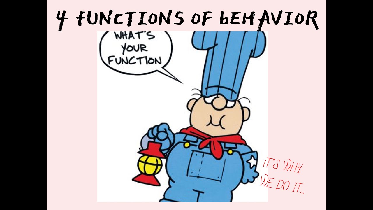Functions of Behavior “But Why??” - YouTube
