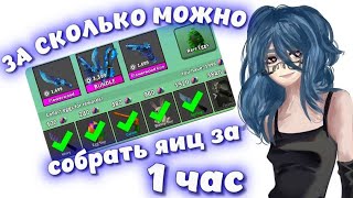 😨||ММ2,сколько можно СОБРАТЬ ЯИЦ за 1 ЧАС ? 0-0  |MM2| ROBLOX