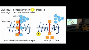 Neurotransmitter Transporters and the Pharmacologic Treatment of Depression and Anxiety
