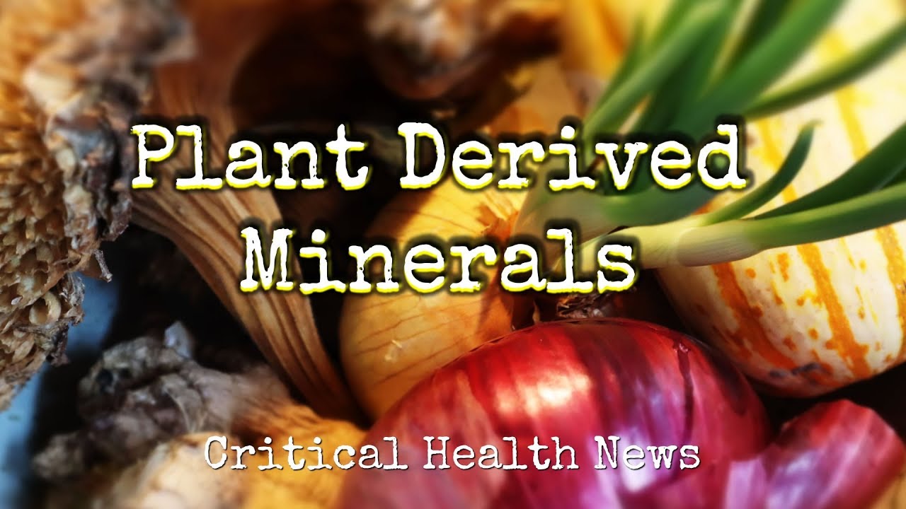 Plant Derived Minerals - Pharmacist Ben Fuchs - Moment of Truth