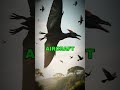 What If the Quetzalcoatlus Never Went Extinct? #quetzalcoatlus #ytshorts #shorts