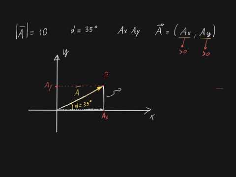 Video: Come Determinare Le Coordinate Di Un Vettore