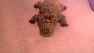 Exploding crocodile
