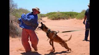 AudioSlideshow Lauren Rivera