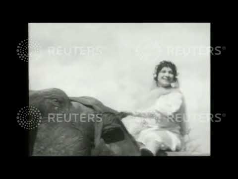 Video 1937 Elephant attends wedding ceremony