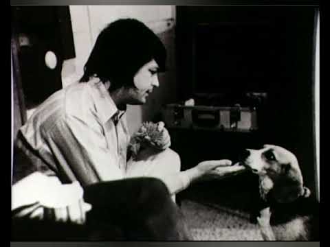 Putar Dog Barking Session - The Beach Boys