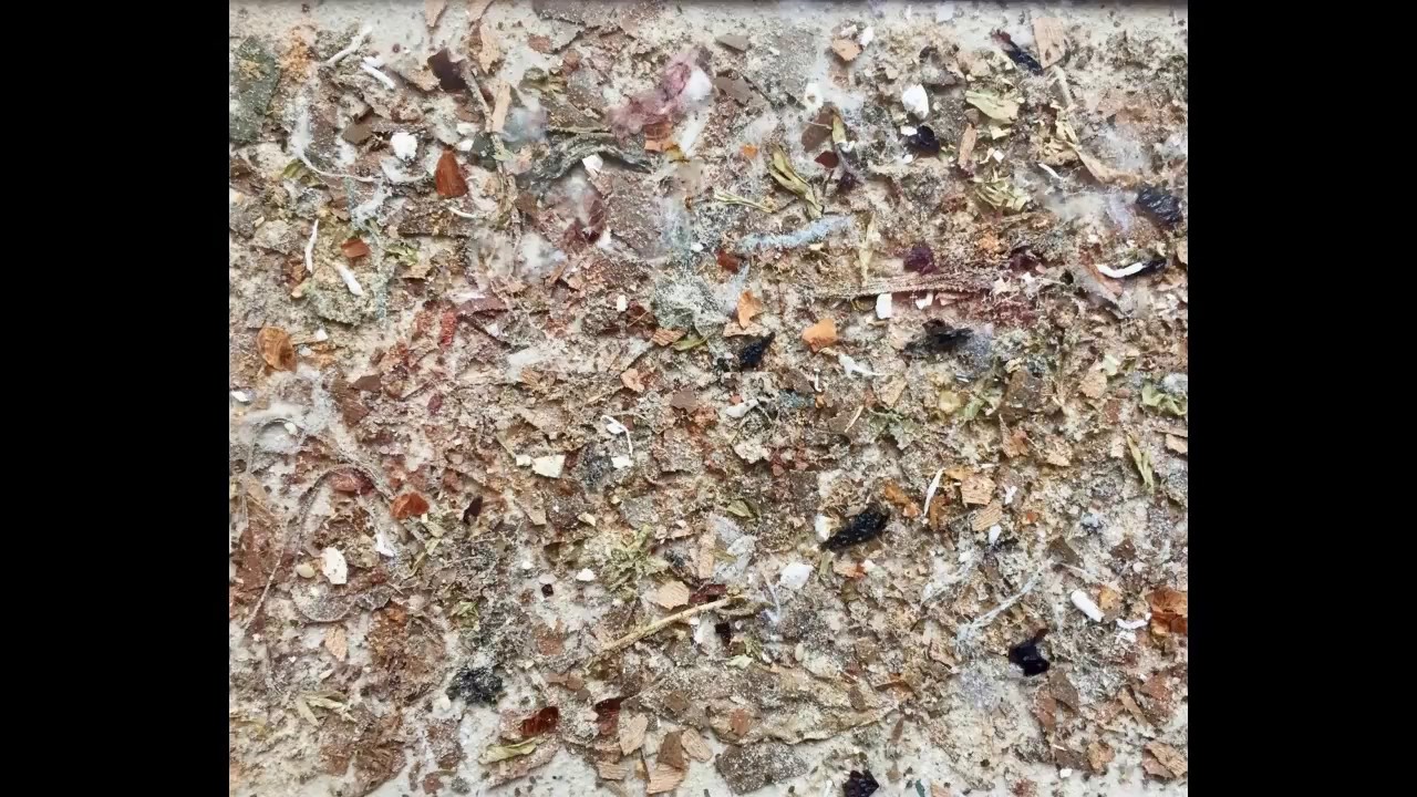 Ryan Pratt - Mizaru Climbs (2015)