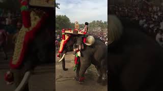 Elephant rampage @ parkkadi uttoly raman