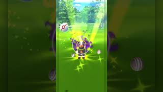 I got a decent shadow Houndour! #pokemongo