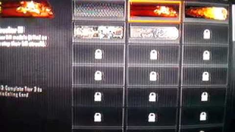 Showcase and profile shot (black ops 2)