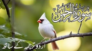 Surah Ar-Rahman (The Most Merciful) with Beautiful Urdu Translation &amp; Recitation