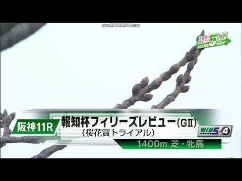 2023年 フィリーズレビュー（GII）ファンファーレ