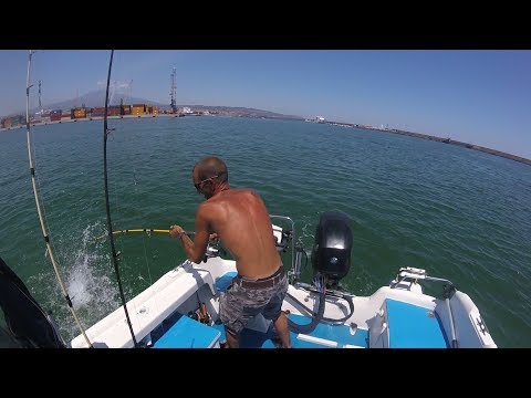 Pesca a traina con il vivo – Giornata No