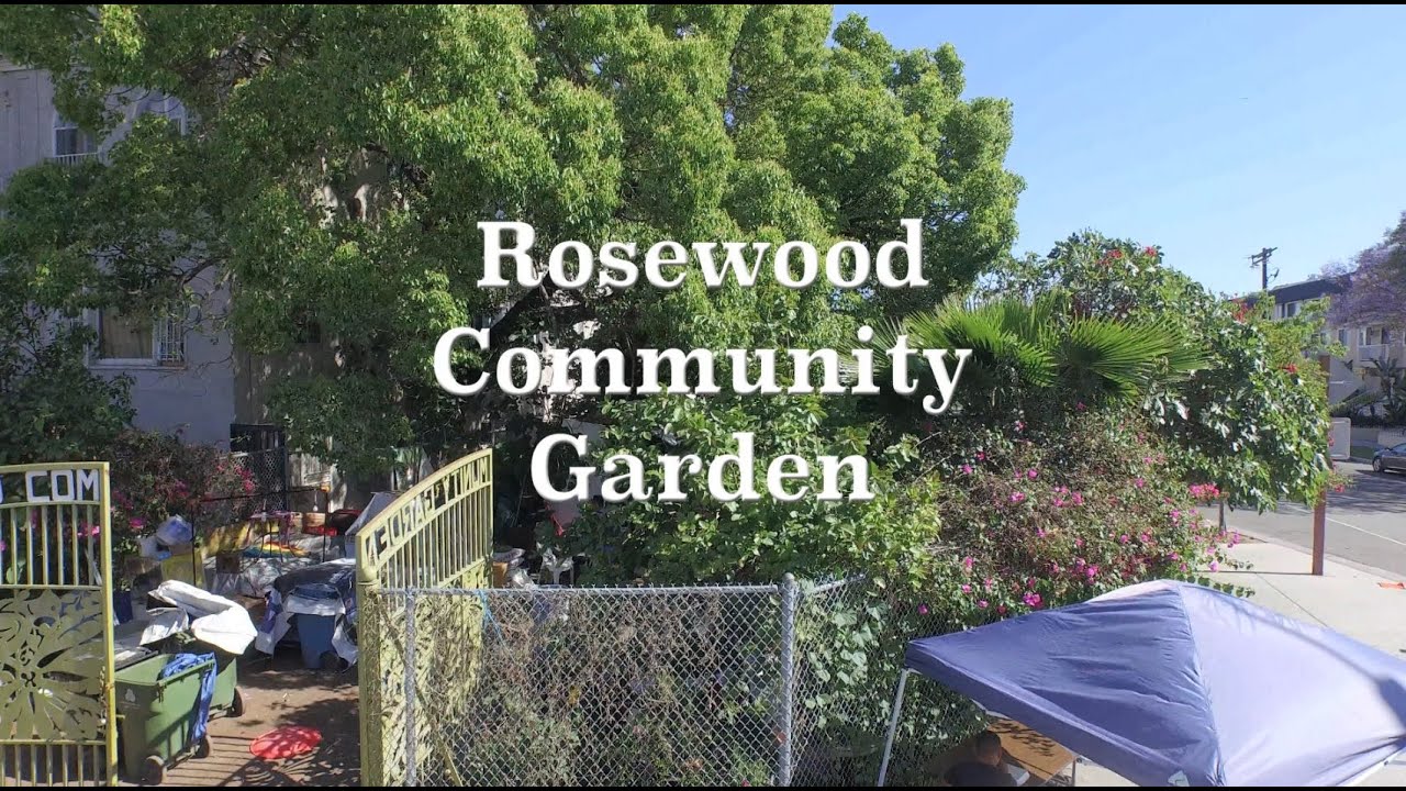 Rosewood Community Garden YouTube