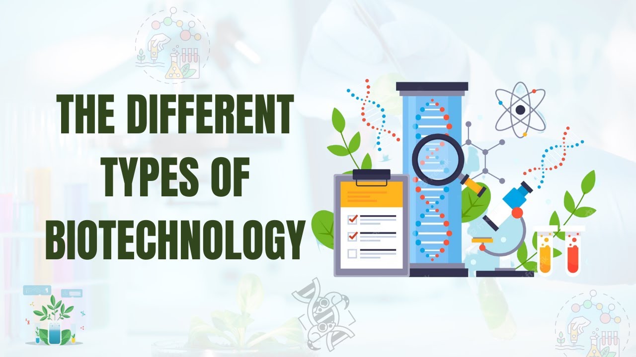 Types of Biotechnology YouTube