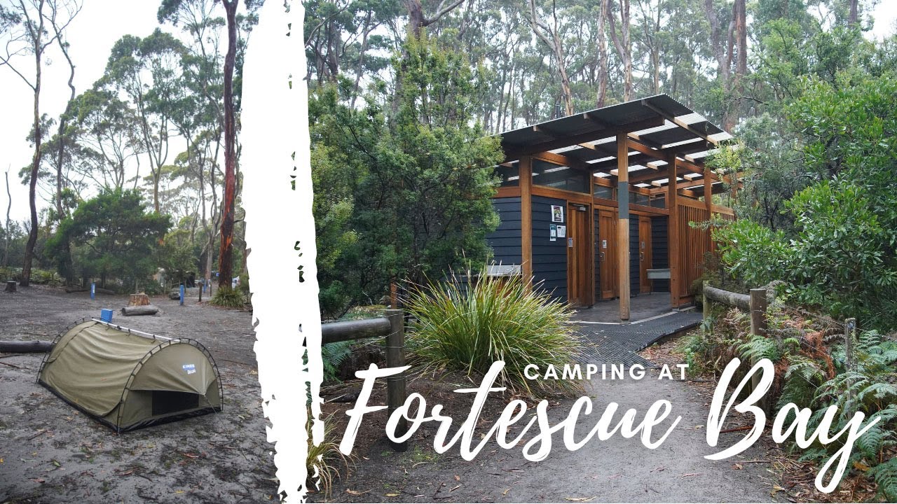 INCREDIBLE CAMPING AT FORTESCUE BAY FOR ONLY $13 | Tasmanian Devil Unzoo | Tasmania vlog #4