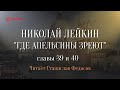 Николай Лейкин. «Где апельсины зреют». Аудиокнига. Главы 39 - 40