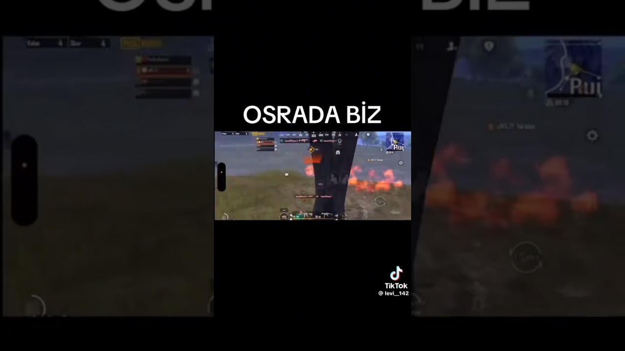 maymunlar cəhənləmi.      