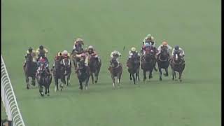 2018-08-26 Race 4(0307) - THE MACAU RACE HORSE OWNERS ASSOCIATION CUP
